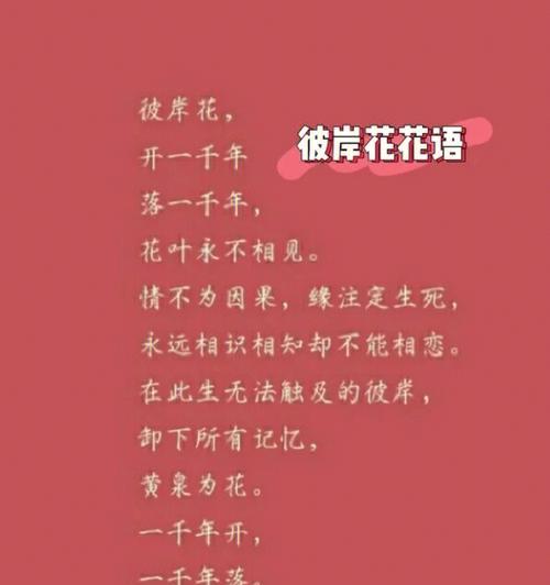 彼岸花是什么？它的花语有哪些含义？