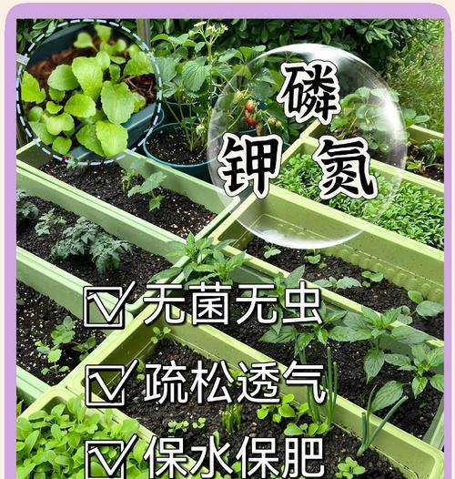 植物生长需要哪些基本条件和营养？
