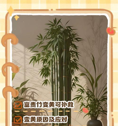 天使之泪的养殖技巧有哪些？如何避免叶子变黄？