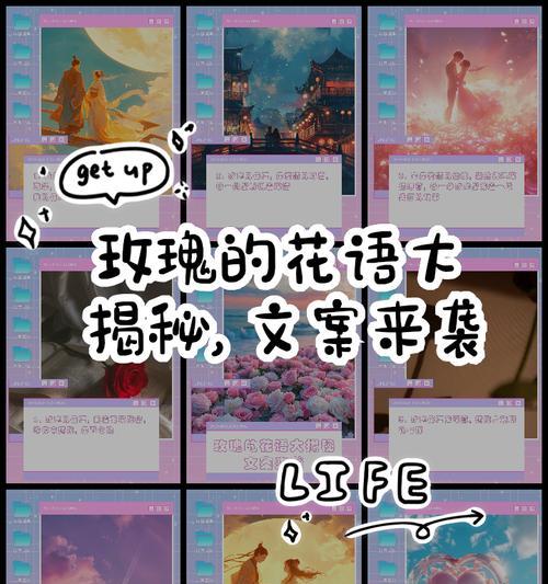 玫瑰为何被称为徘徊花？它的花语是什么？