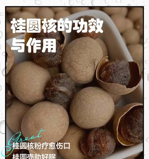 桂圆籽在小盆栽中的种植方法是什么？如何保证成活率？