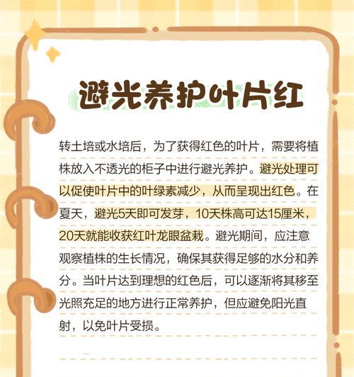 桂圆籽在小盆栽中的种植方法是什么？如何保证成活率？