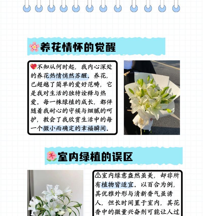 百合花赏析与养护是什么？有哪些技巧？