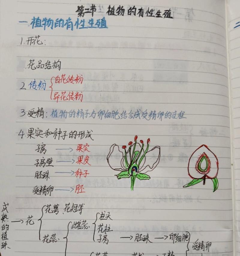 有性繁殖和无性繁殖有什么区别？如何选择？