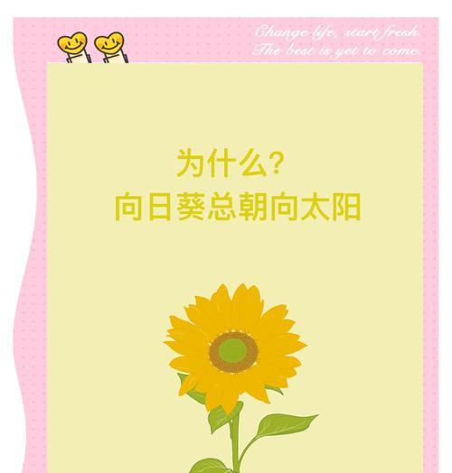 向日葵何时开花？夏季绽放的奥秘何在？