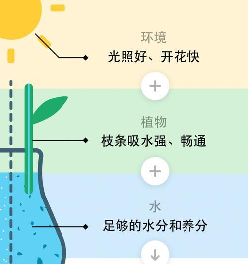 万年青首次开花寓意着什么？10年不开花的原因是什么？
