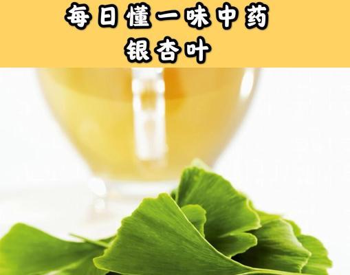 银杏叶有哪些养生功效？如何正确认识银杏叶？