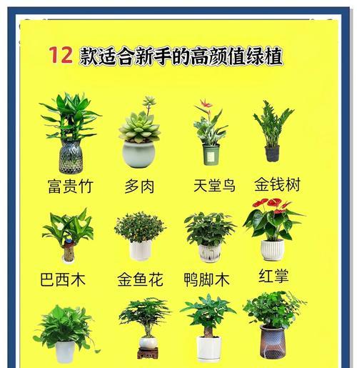 春天里哪种植物给你留下了深刻印象？