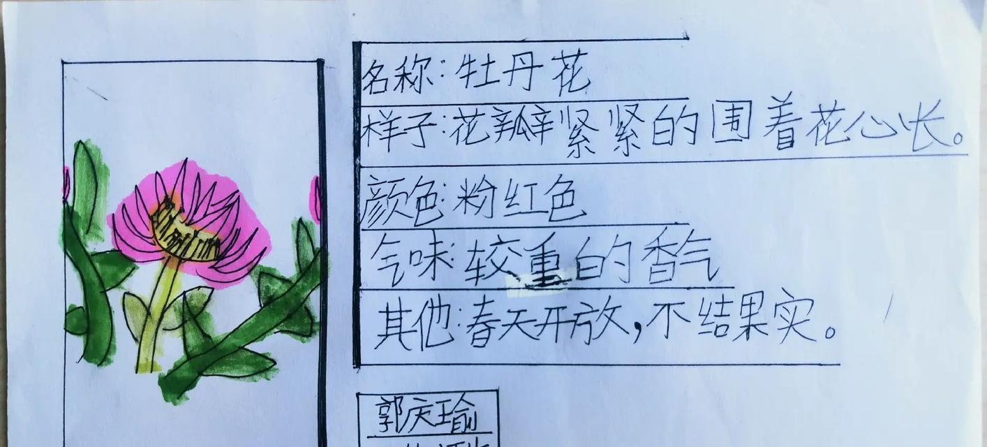 春天里哪种植物给你留下了深刻印象？
