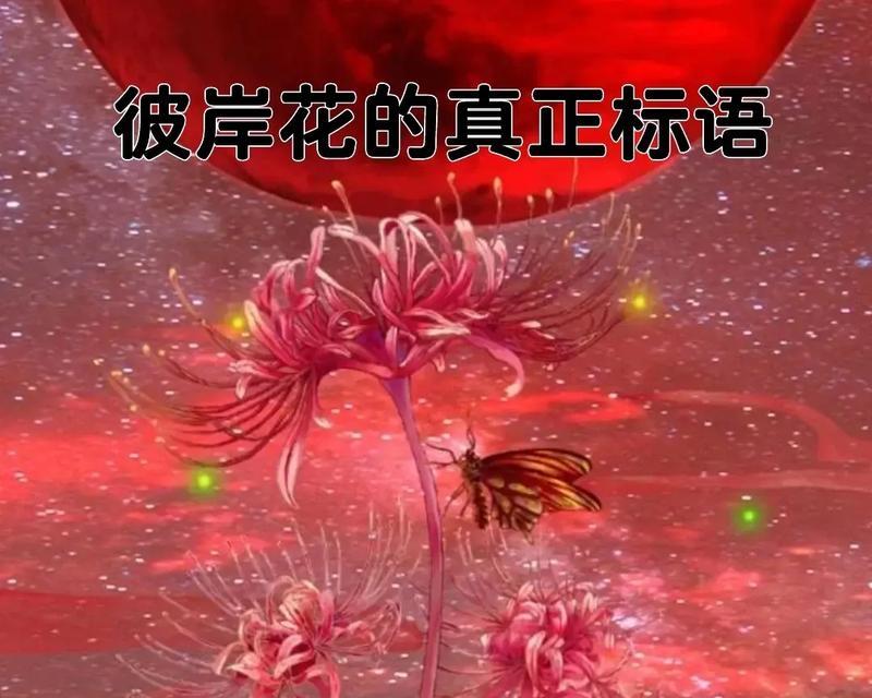 彼岸花的含义是什么？