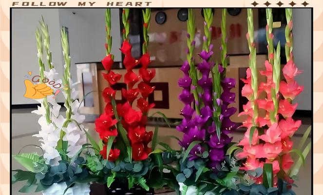剑兰盛花期是什么时候？多种颜色如何绽放？