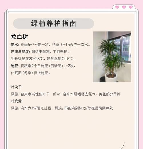 百日草如何全面养护？全攻略中有哪些要点？