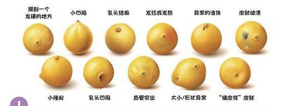大豆从播种到管理的全面指南是什么？有哪些关键步骤？