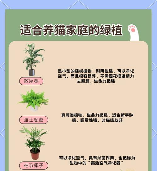 如何利用四种植物打造室内天然氧吧？详解方法是什么？
