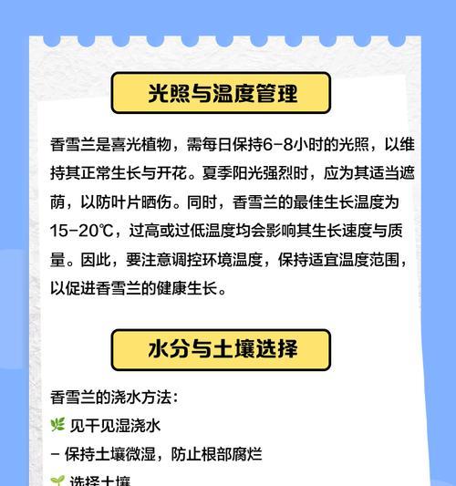 香雪兰养护需要注意什么？有哪些有效的养护攻略？