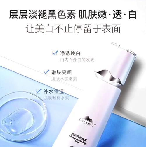 如何全方位养护与繁殖雪莲？指南中有哪些步骤？