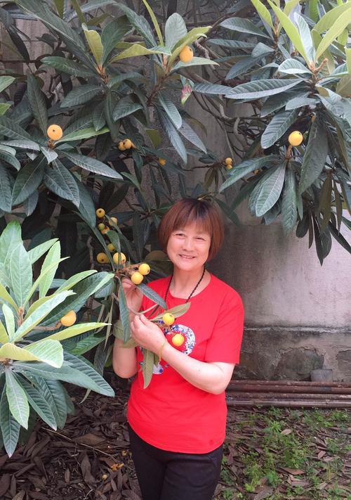 百千金甲挂枝头是什么意思？如何理解这一现象？