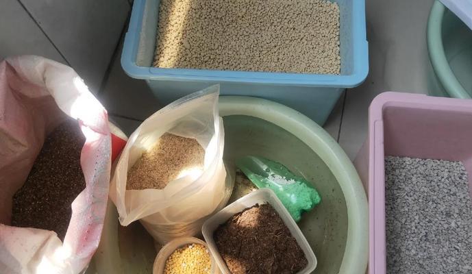 仙人球栽培需要什么土壤？最佳土壤配方是什么？
