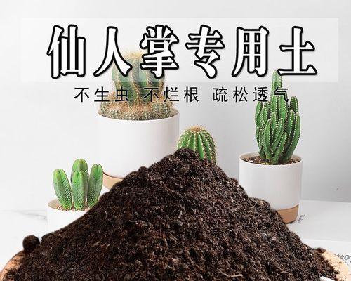 仙人球栽培需要什么土壤？最佳土壤配方是什么？