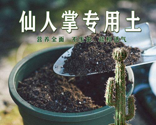仙人球栽培需要什么土壤？最佳土壤配方是什么？
