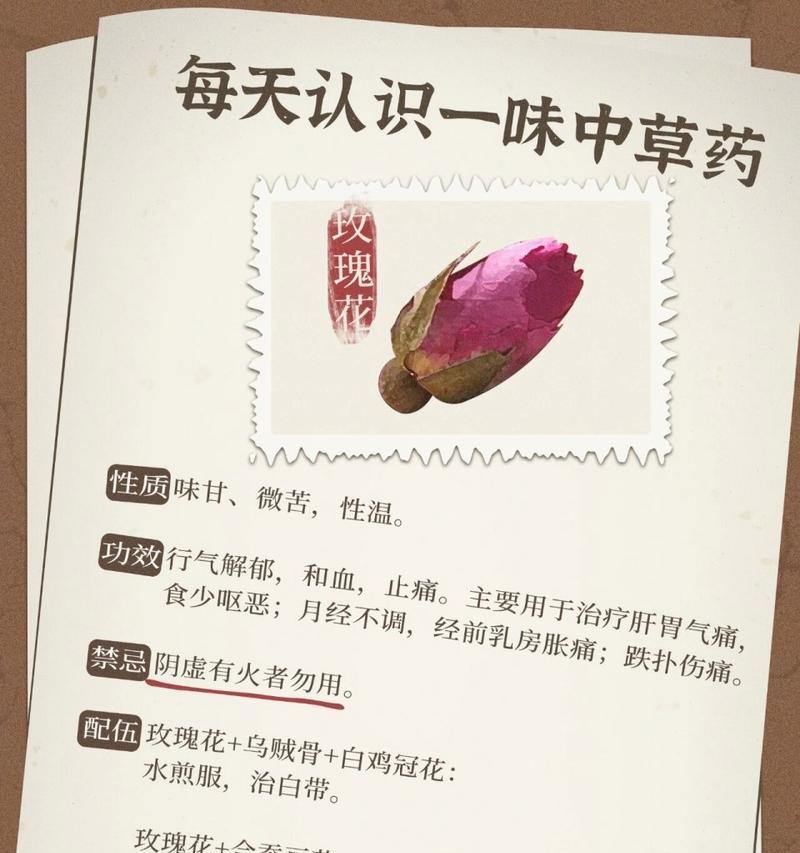 种植玫瑰花需要哪种防虫药？防虫药推荐有哪些？