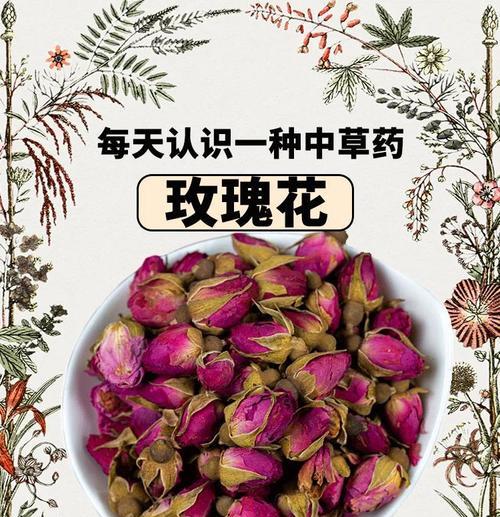 种植玫瑰花需要哪种防虫药？防虫药推荐有哪些？