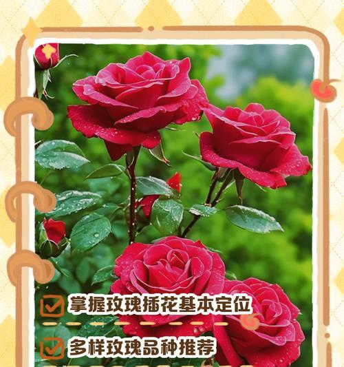 猪油玫瑰花插花的方法是什么？