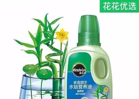 仙人球营养液的正确兑水比例？