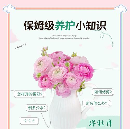 牡丹花种植的步骤和注意事项有哪些？