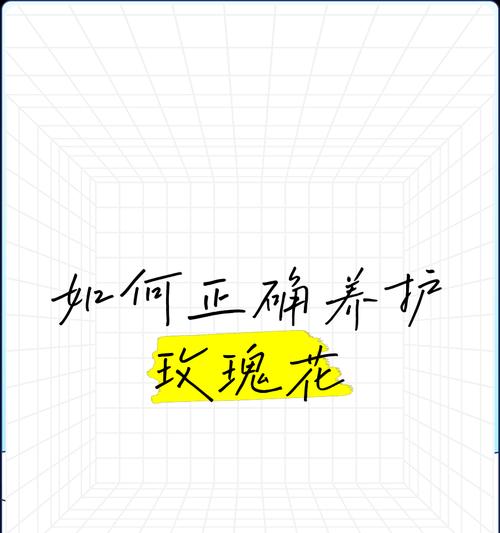 新娘玫瑰花如何养护才能存活？