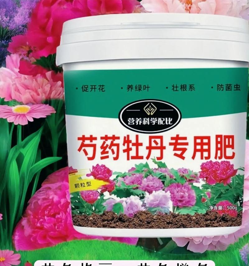 牡丹花施肥的正确方法是什么？