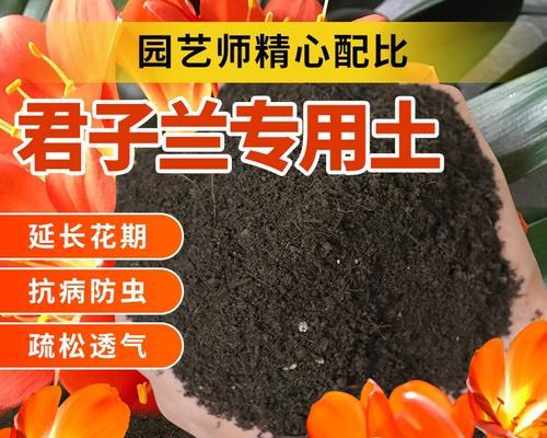 君子兰栽种需要哪种土壤？