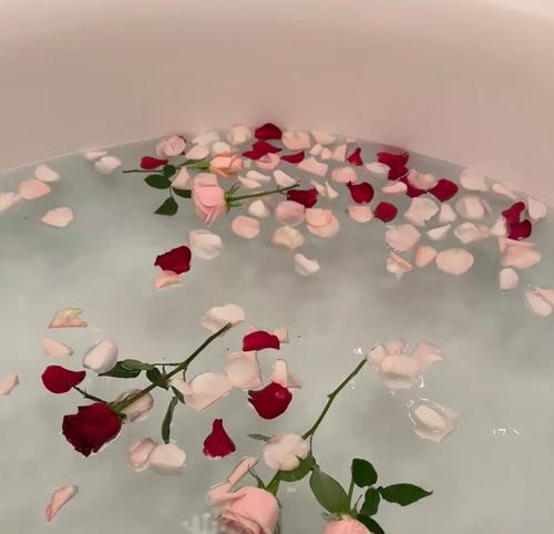 浴缸中玫瑰花的养护技巧是什么？