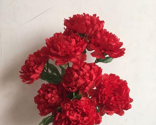 小牡丹花干花的正确养护方法是什么？