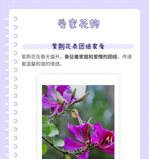 哪种花的花语是法律？花语与法律有何联系？