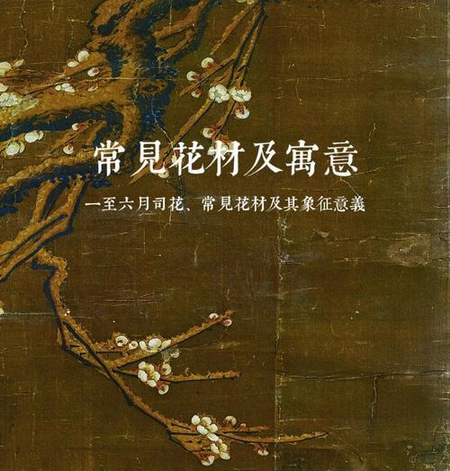 插花艺术中的花语和花文化有何深意？