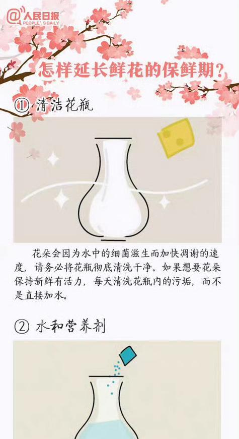 花语为何能广泛流传？花语的传播方式有哪些？