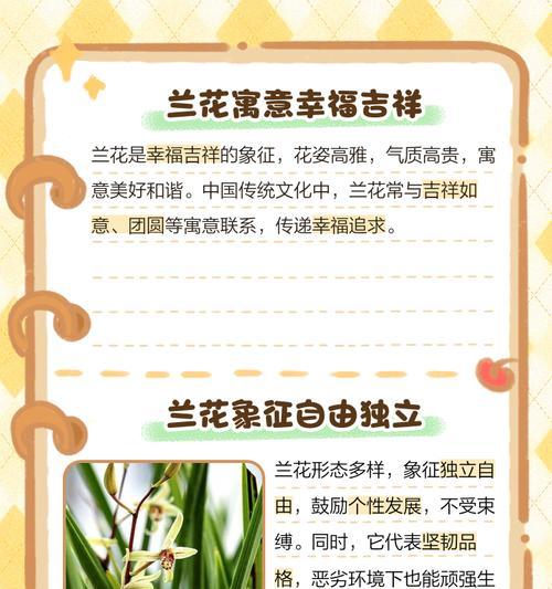 开白花的兰花花语有何特别含义？