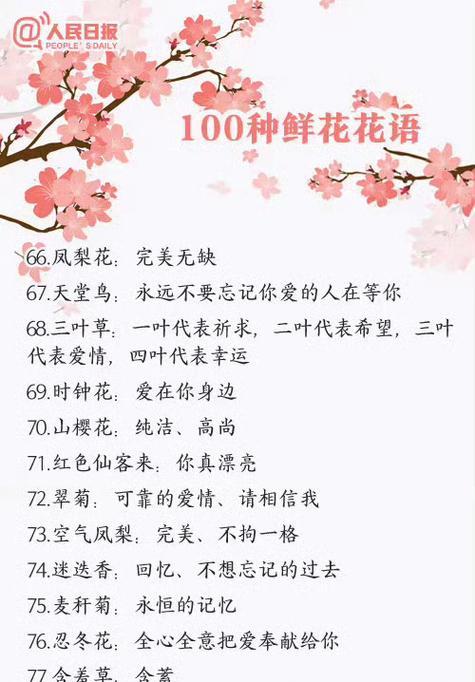 花语的含义和解释是什么？