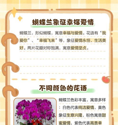 蓝蝴蝶兰的花语是什么？适合哪种场合赠送？