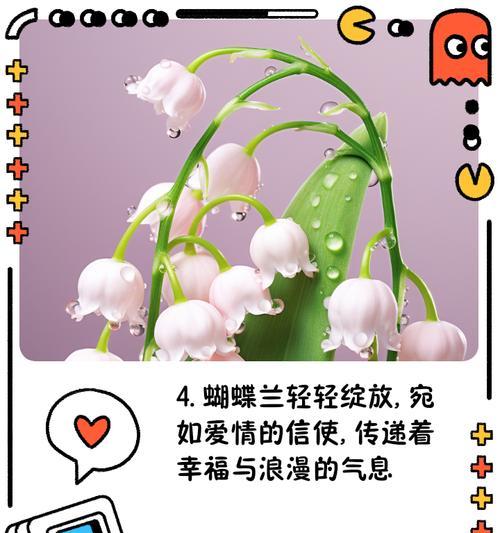 蓝蝴蝶兰的花语是什么？适合哪种场合赠送？