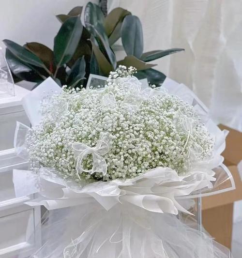 针钩满天星的花语代表什么？