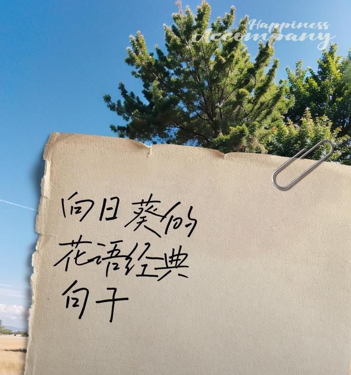 花向日葵的花语是什么？