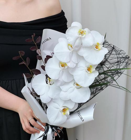 蝴蝶兰花语和花期有何关系？