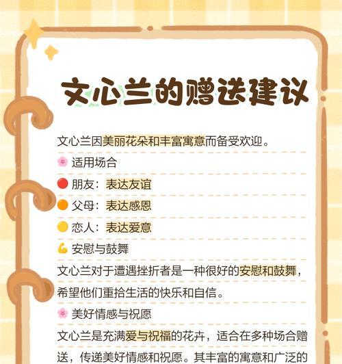 文心兰的花语有何寓意？