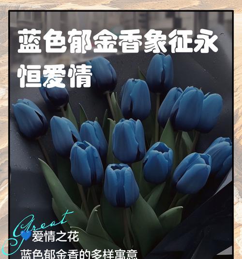 郁金香不同朵数的花语是什么？