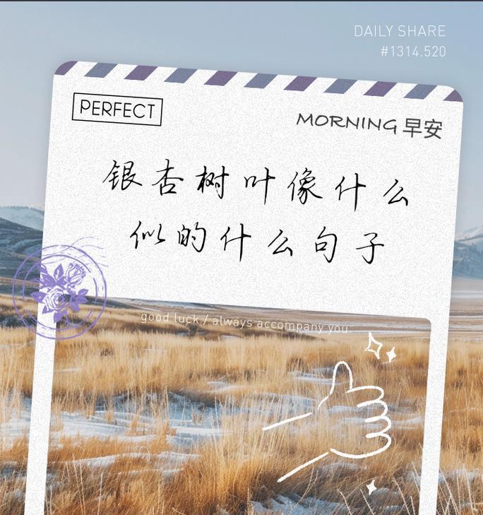 银杏叶的花语有何特别之处？