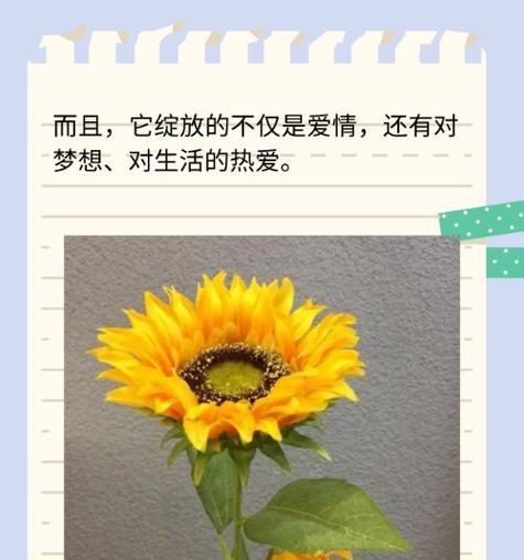 向日葵花束的花语有何寓意？
