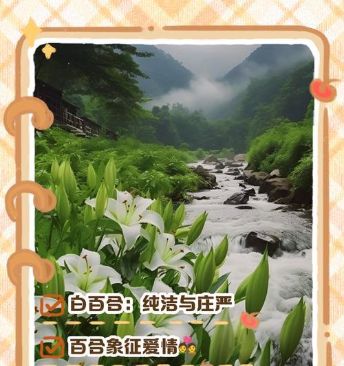 百合花的花语代表什么？