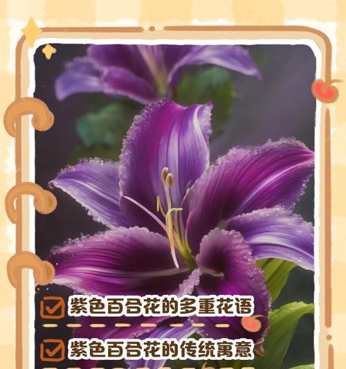 英国百合花的花语是什么？